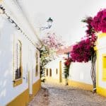 Vacation rentals shaking up local housing markets