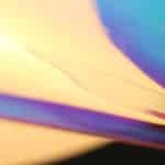 Bold Colors Making a Comeback This Season