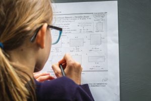 Environmental Stewardship in Education